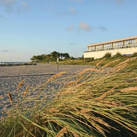 Seestern F Schönhagen